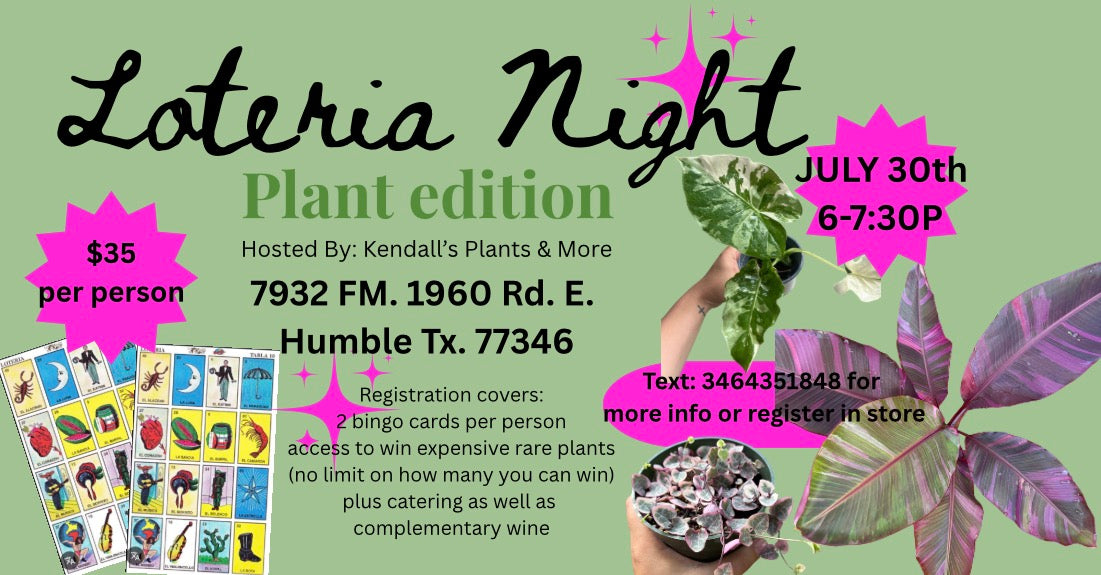 July 30th Loteria night