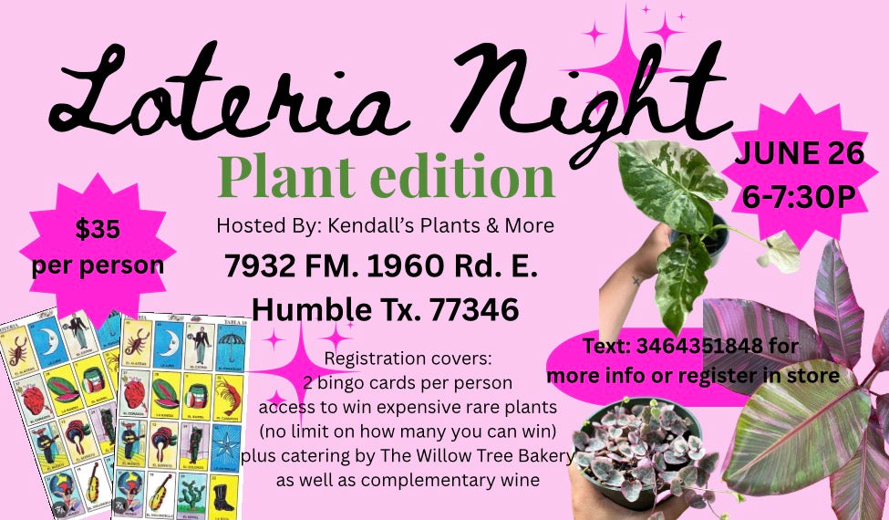 Loteria night June 26